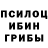Псилоцибиновые грибы Magic Shrooms anastaysha sinyavina