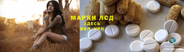 индика Алексин
