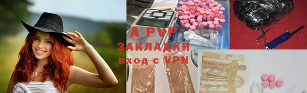 индика Алексин