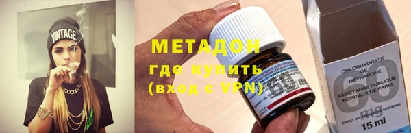 индика Алексин