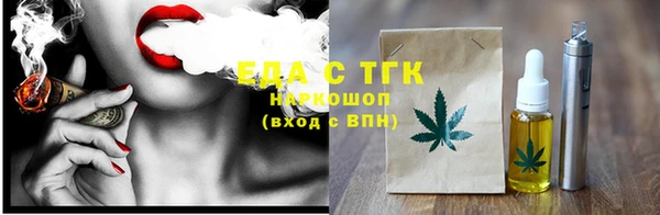 индика Алексин