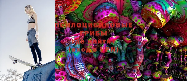 индика Алексин