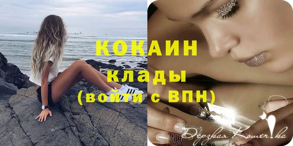 индика Алексин