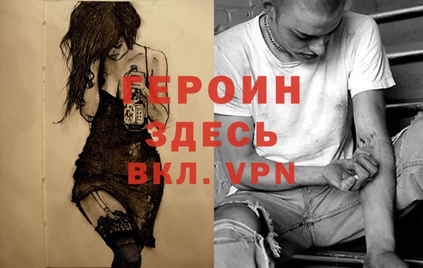индика Алексин