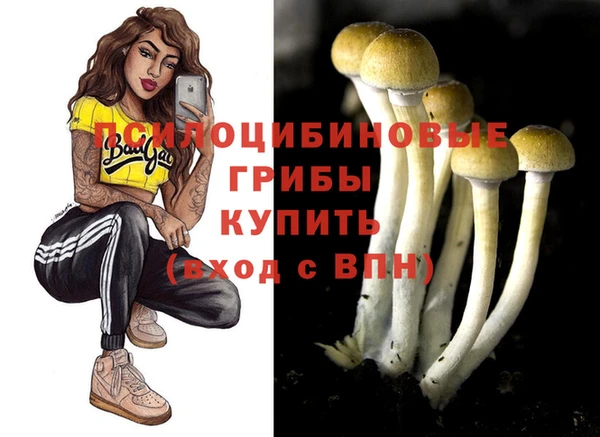герыч Алексеевка