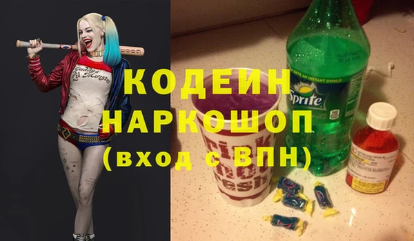 индика Алексин