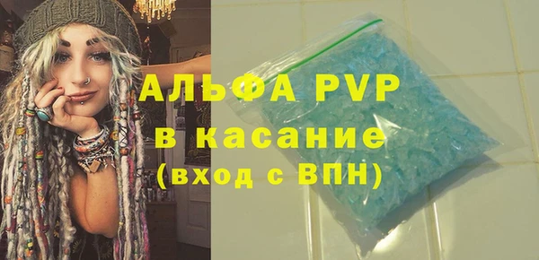 индика Алексин