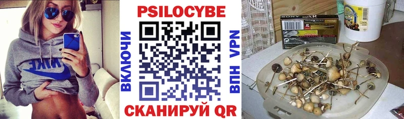 Псилоцибиновые грибы Psilocybine cubensis Нефтекамск