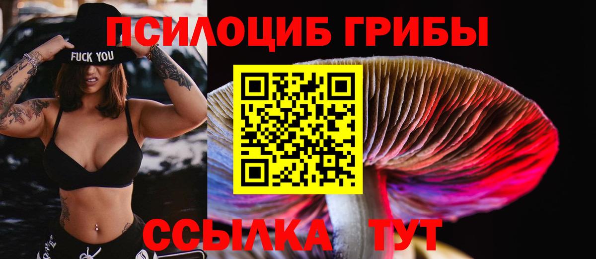 Нефтекамск  Псилоцибиновые грибы мухоморы  Вход с VPN  Галлюциногенные грибы GOLDEN TEACHER 